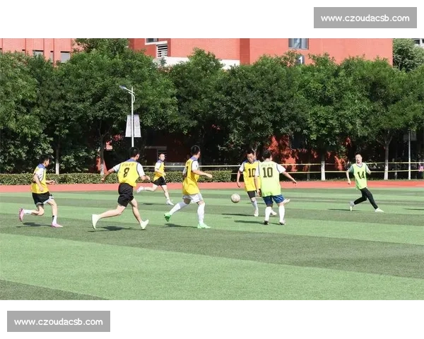 绿茵场的全民欢歌：草根足球的盛会与文化诗行